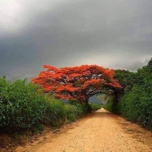 Meet your Posher, Yanira